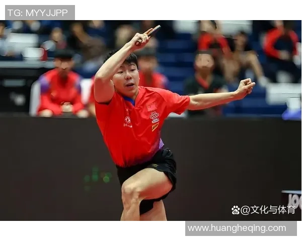 武汉乒乓球队的成长之路挑战赛背后的拼搏与坚持故事